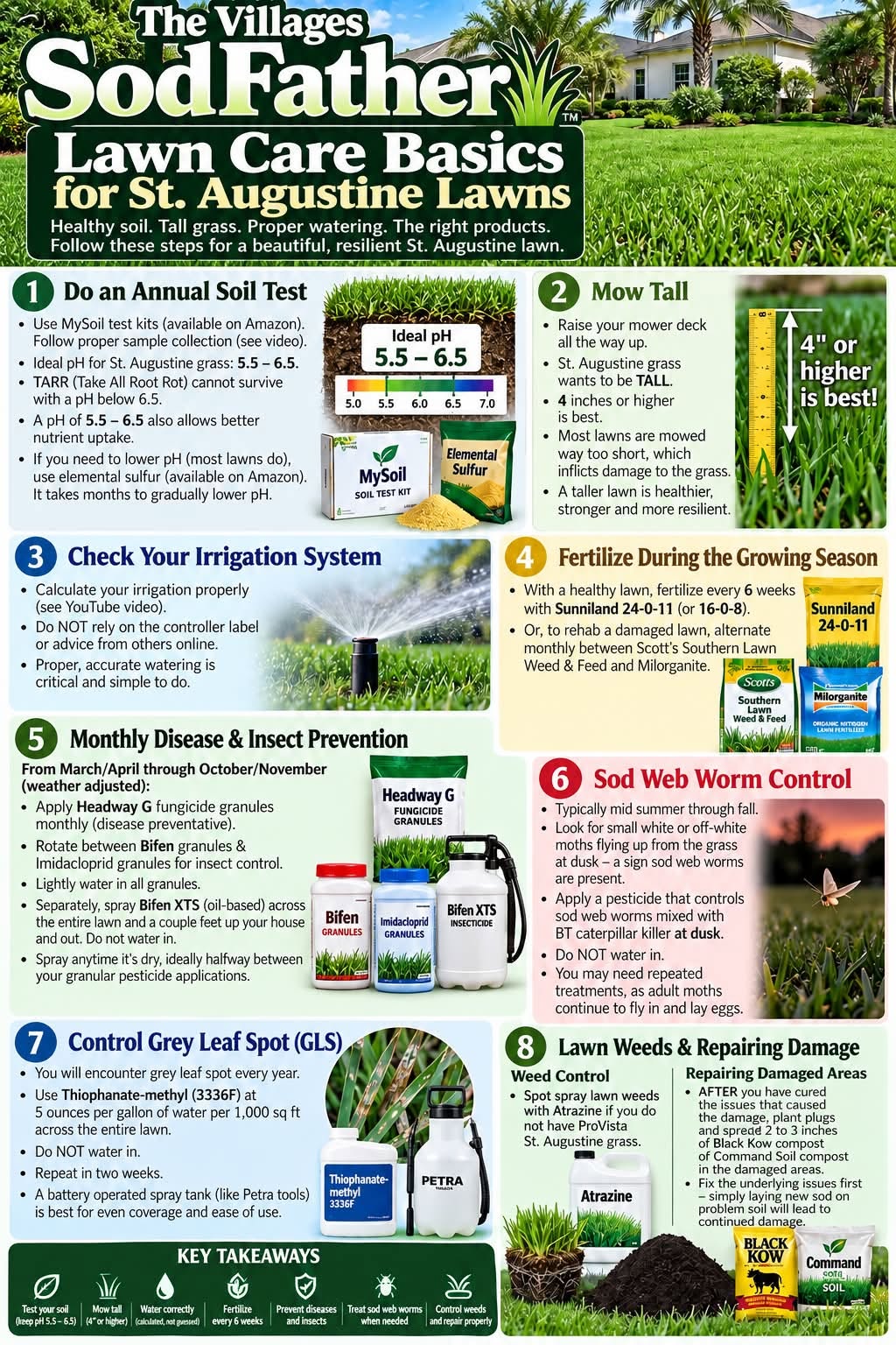 Sof Father Basic Tips for St Augustine Grass